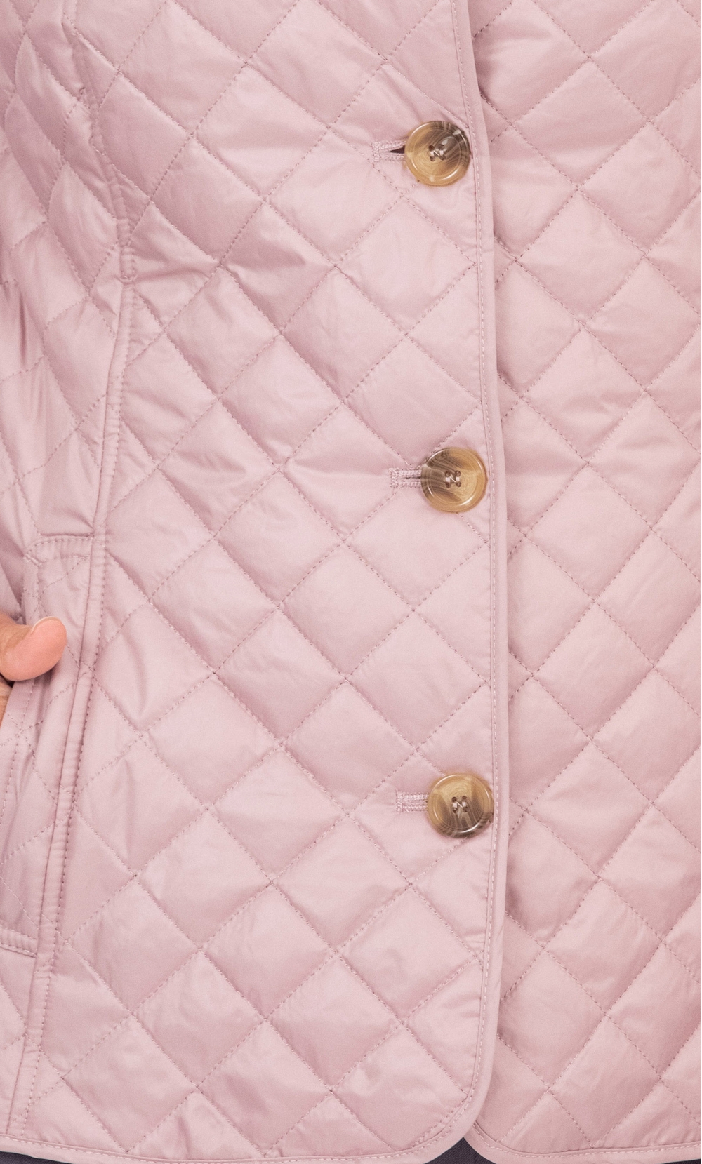 Anna Rose Quilted Fitted Jacket