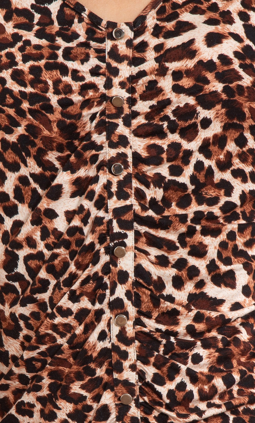 Animal Print V Neck Top