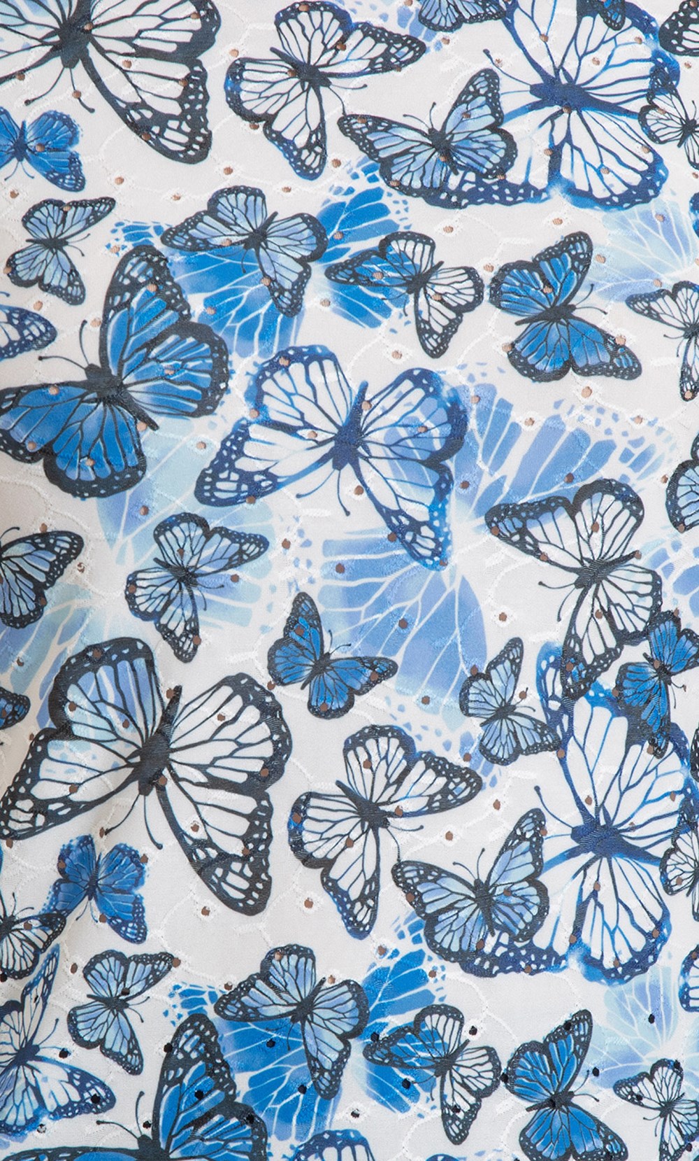 Anna Rose Butterfly Print Top