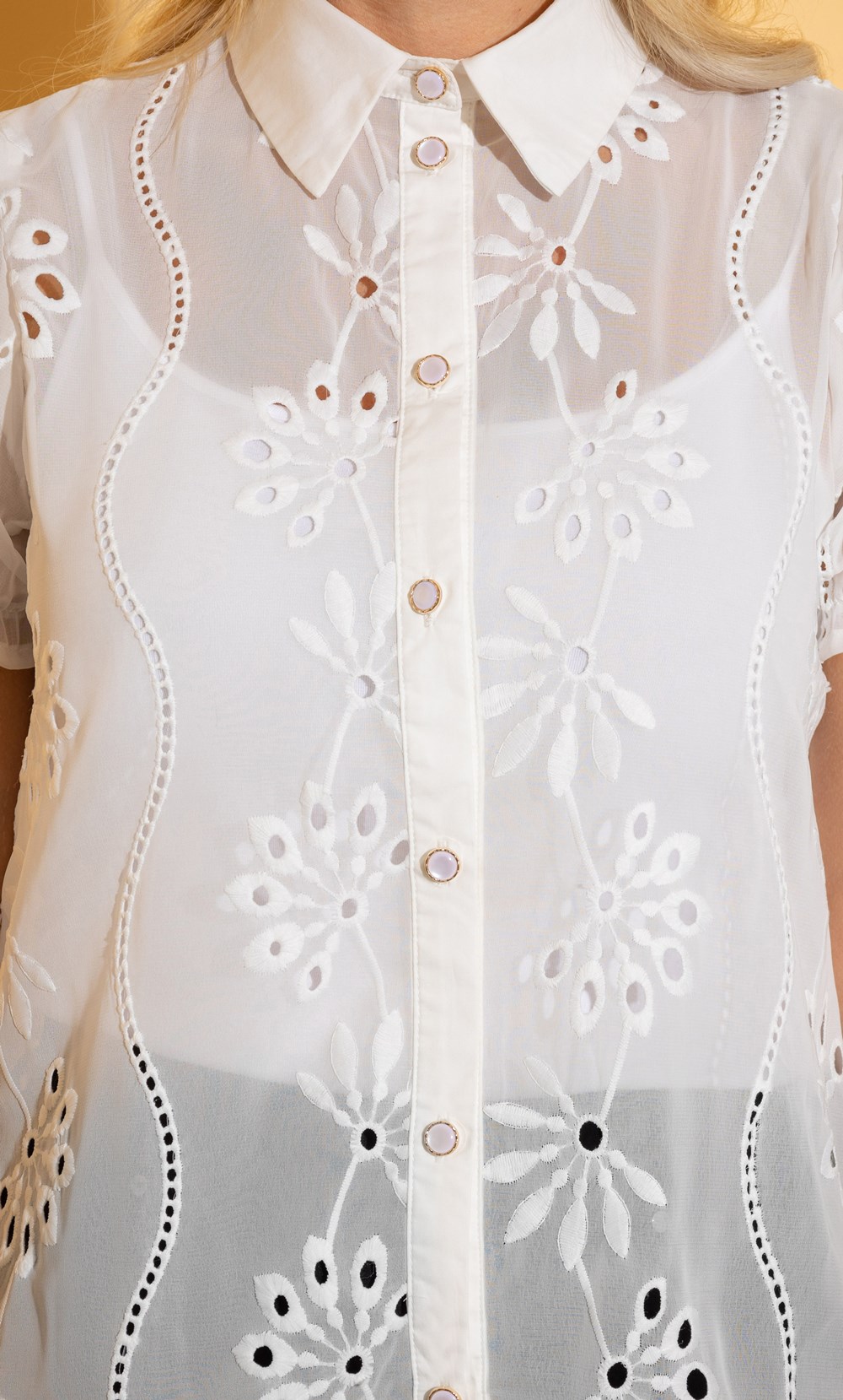 Schiffli Embroidered Short Sleeve Blouse