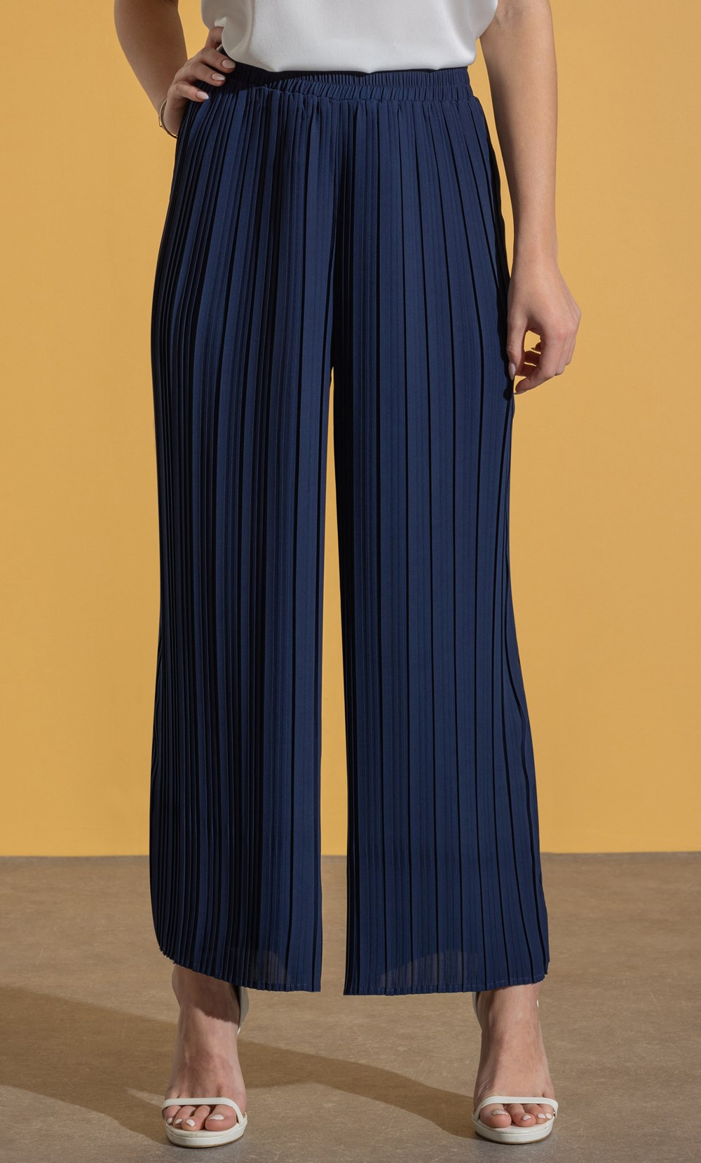 Pleated Wide Leg Pull On Trousers