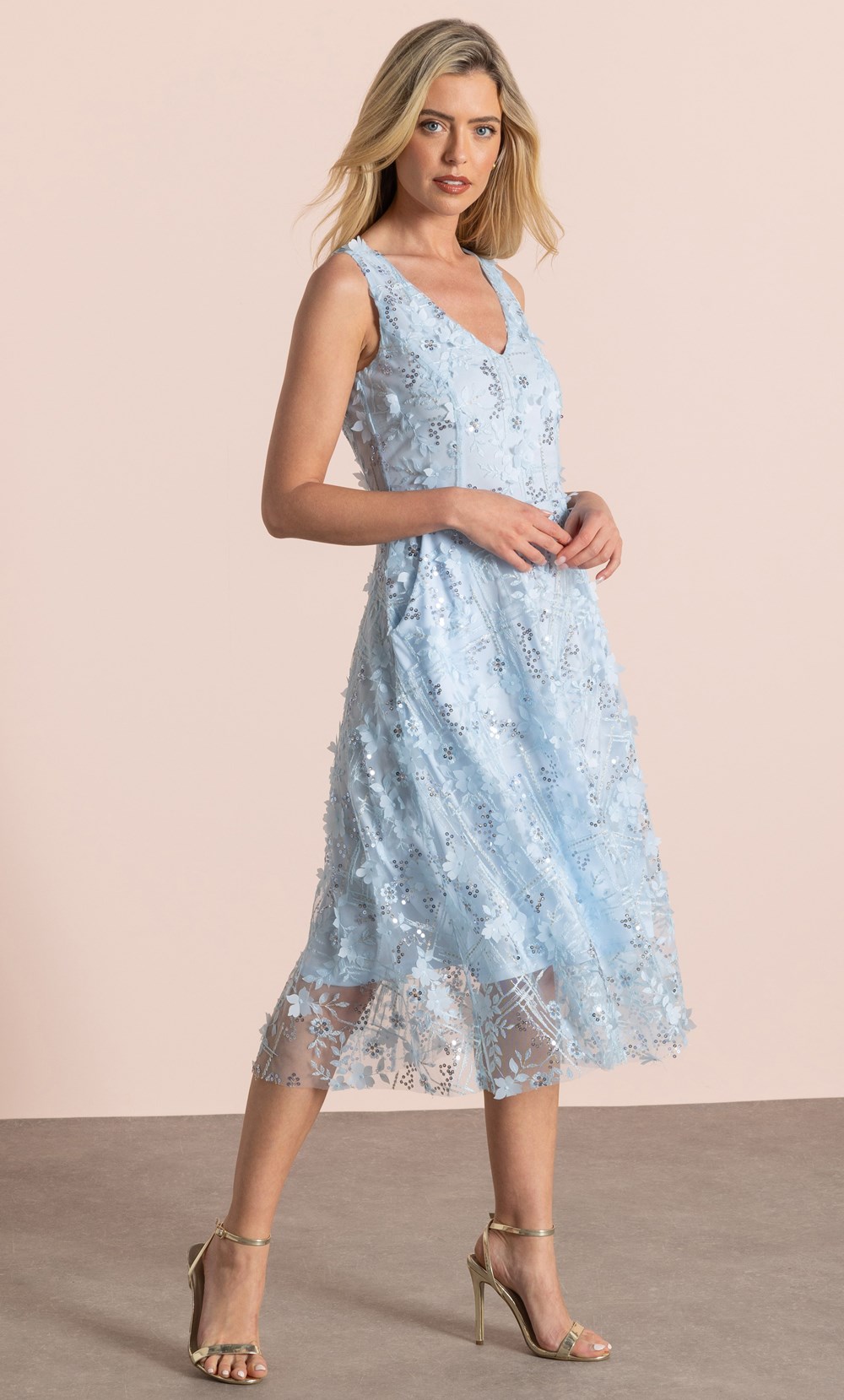 Sleeveless Applique Shimmer Dress